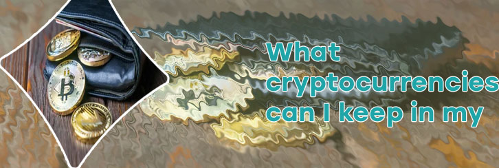 Digital crypto wallet