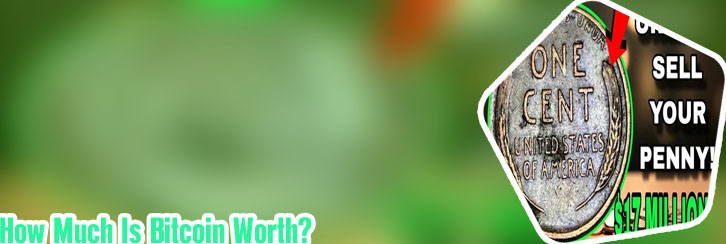 How much is 1 bit coin worth