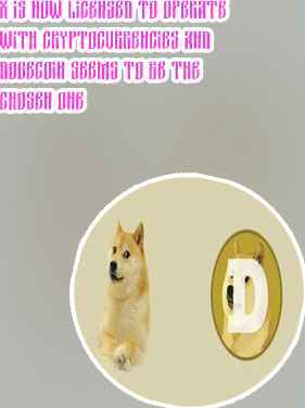 Online retailer accepting dogecoin option
